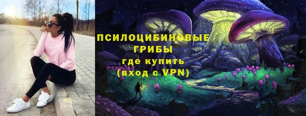 СК Абаза