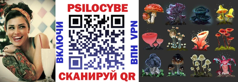 Галлюциногенные грибы Psilocybe  Дмитриев 